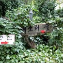 새소리 물소리 이미지