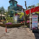 늘봄가든 | 청양 고기집 돼지숯불갈비 맛있었던 늘봄가든 만족 후기!