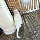 (주)율도국