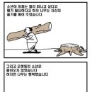 아낌없이주는나무 이미지