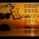 어선횟집 이미지