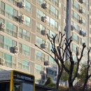 오남22리(신일1단지) | 남양주시 오남읍 신일해피트리1단지 구형 인터폰, 비디오폰 교체 후기