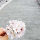 자연을닮은사람들
