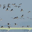 생태전문생태야생태 이미지