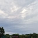 (주)지혜로운세상 | 작은 나눔이 누군가의 희망이 되는 하루; 행복한 힐러 클라라 이정수의 감사일기 1,150일차