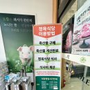 도뜰정육식당 이미지