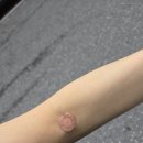 둔산스마일의원 이미지