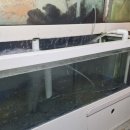 서울수산물회센타 이미지