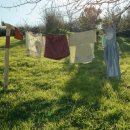 햇볕 세탁 이미지