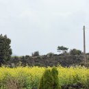 미미어스제주 | 제주도 동쪽 숙소 미미어스 제주 10만원대 감성숙소 자쿠지 펜션 아기랑