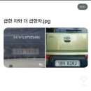 성덕반딧불작은도서관 | 슬로한주 #193 멈춤과 쉼 사이