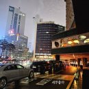 민성빌딩 | 서울시청 종각역 피부과 쥬베룩 스킨 나비존 내돈내산 통증 민감성피부 솔직후기