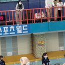 KBS 스포츠월드 수영장 이미지