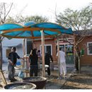 하빈면사무소 이미지