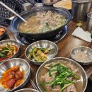 강촌골능이능이백숙 이미지