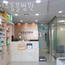 아인스동물병원 | 동대문구 장안동 동물병원 아인스동물병원 위치 오는길 후기