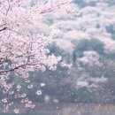 니노영어학원 이미지