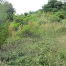 선소유적지 이미지