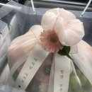 달봄푸릇