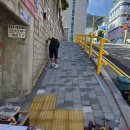 주례초등학교 이미지