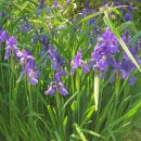 서호카프라자 | 서울 휴가지 30곳: 전문가 가이드