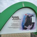재철이의제철휴게소 | 충남 보령 천북굴단지 축제,천북굴단지 맛집 바다향 굴찜