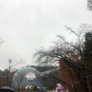 플래닛가야 티스토리
