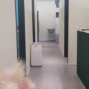 디.크라이오뷰티 이미지