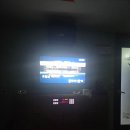 돌고래노래연습장 이미지