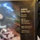 둘둘치킨정자역점