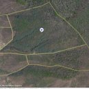 꿀벌체험장 이미지