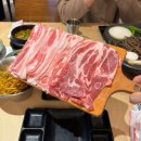 1월 3주차 - 반년만에 수확한 다이소 방울토마토, 히피펌, 신상과자, 배달, 포장, 외식한 일주일