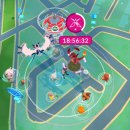 리그레이드 | (포켓몬고)그림자 히드런 이로치, 12월 종합 커뮤니티, 배틀리그 그루샤 포즈 획득