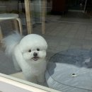 시블링즈 이미지