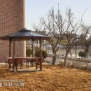 여수신월초등학교 이미지