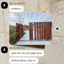 에프티(주) | 잠만 자는 19주차. 자도자도 졸리다. 배가 이젠 확 나왔어요! 입덧 수액 없이 보내보기 도전했으나...