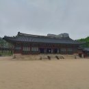 부리 공영기타2 | 서울 덕수궁 [1] / 2025.05