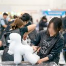 원주애견미용학원 네이버블로그