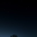 아프로목장 | 서로이웃 우쓰라군과 함께 한 안성목장 새벽출사 후기