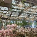 크리스탈컨벤션웨딩 | 웨딩홀 투어: 청량리 L65호텔웨딩컨벤션 후기 &amp; 견적 공유(26년 10월)