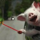 오시오칼국수 이미지