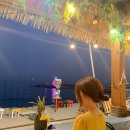 270-4553 | 부산기장 신상카페 발리감성 오션뷰카페 “솔밭커피” ෆ