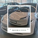 성남점 현대자동차 | [2026 전기차 보조금] 테슬라모델3 vs 아이오닉6 스토어 방문후기