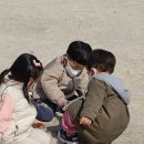 콩새야놀자