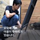 모모와 도노를 소개합니다 / 동부산 아지트 모모카페 이미지