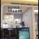 분당고은 동물병원 이미지