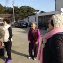 꼴배별장펜션 Daum카페