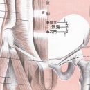 100-1-000010 이미지