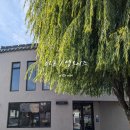 새원1길 4 (1) | 공주 여행 엘로이즈 바흐 카페 제민천1길 공영주차장