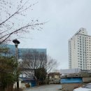 사덕시장 이미지